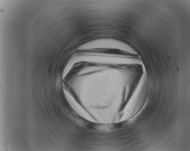 X0000066100191200603312034