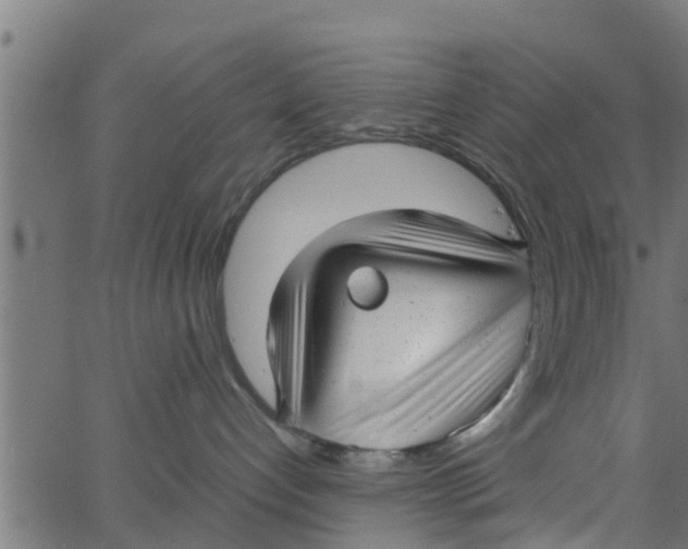 X0000066100192200603312034