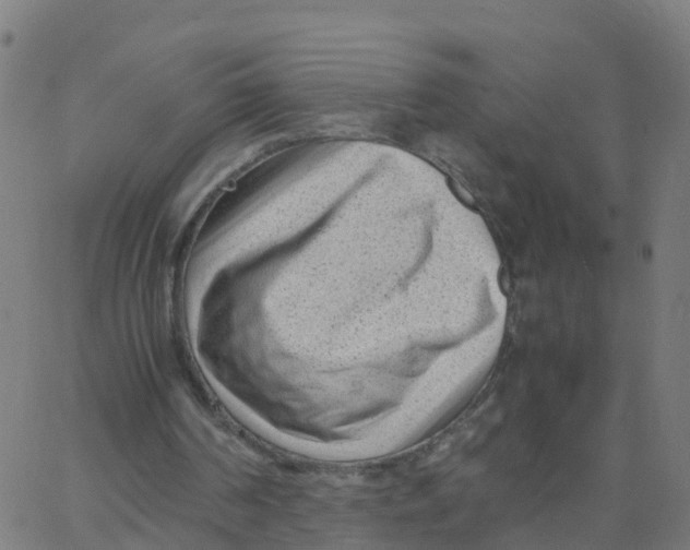 X0000066100194200603312034