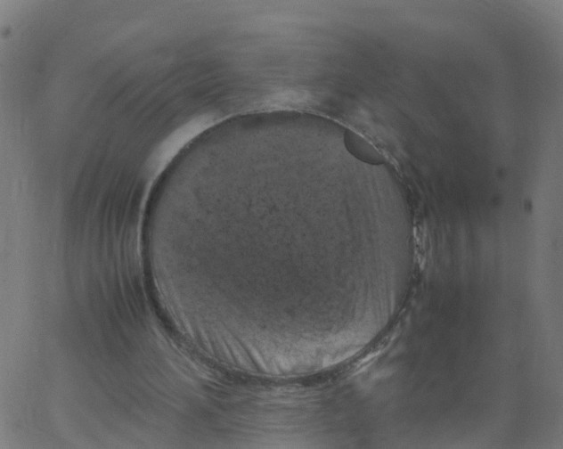 X0000066100196200603312034