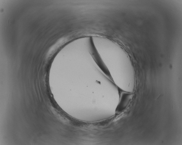 X0000066100197200603312034