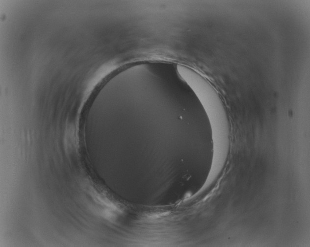 X0000066100200200603312034