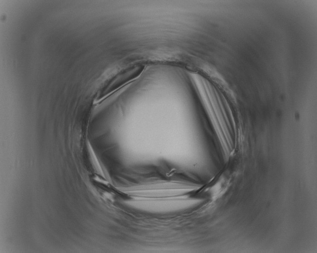 X0000066100201200603312034