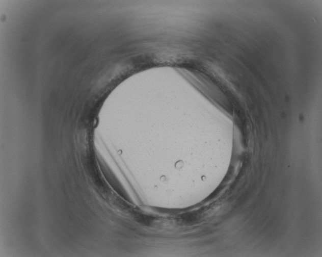 X0000066100211200603312033