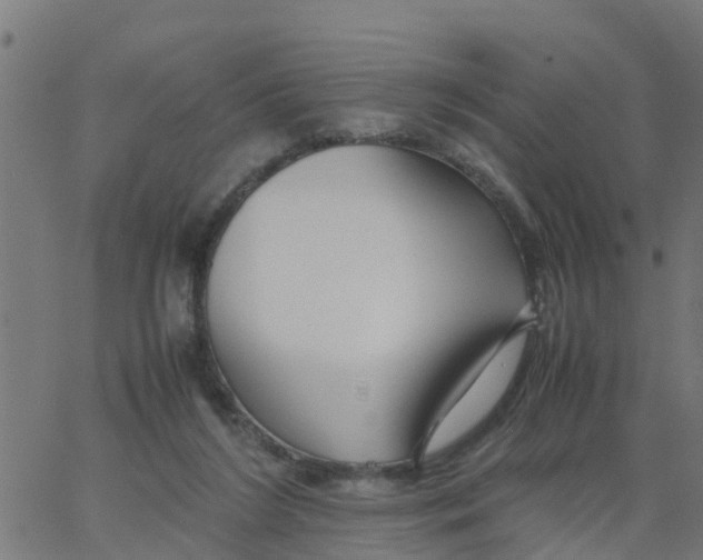 X0000066100212200603312033