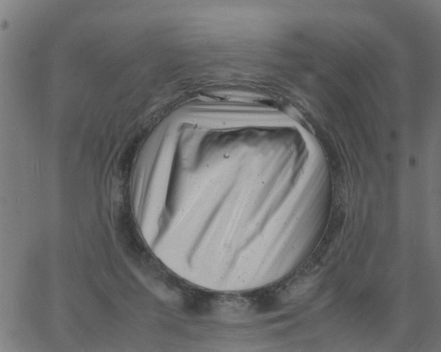 X0000066100215200603312033