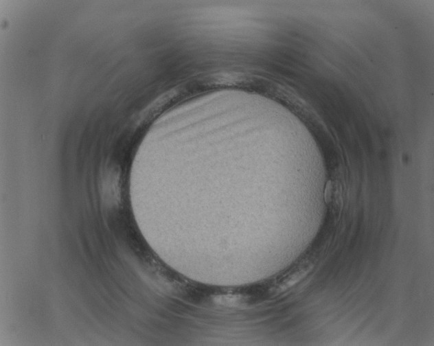 X0000066100216200603312033