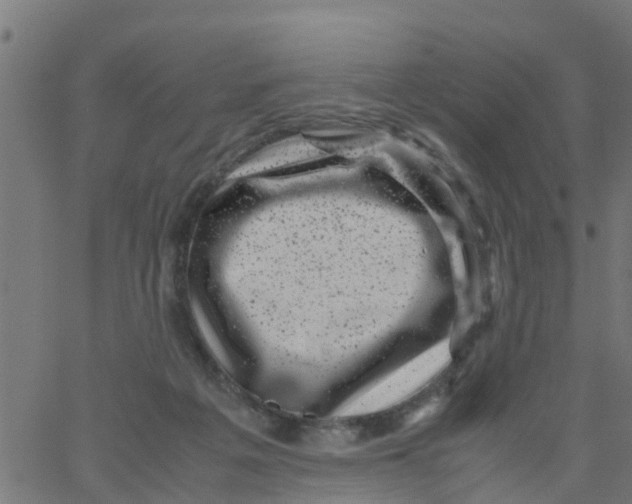 X0000066100217200603312033