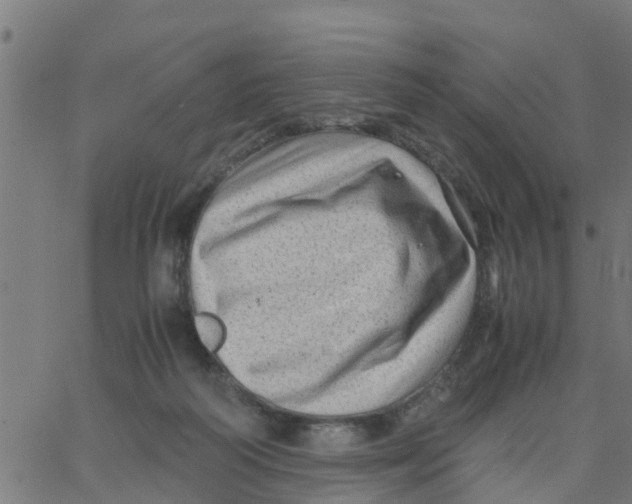 X0000066100218200603312033