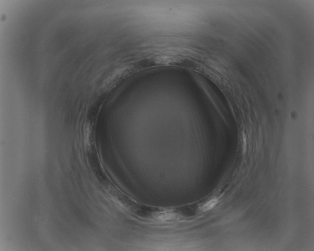 X0000066100219200603312033