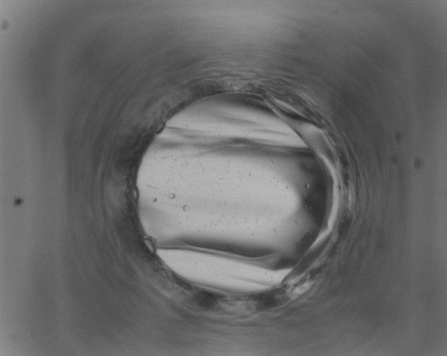 X0000066100221200603312033