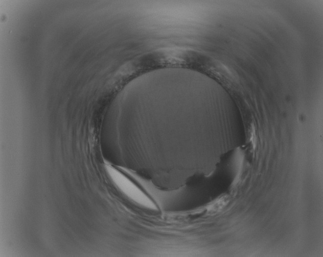 X0000066100223200603312033