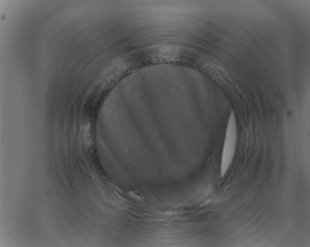 X0000066100224200603312033