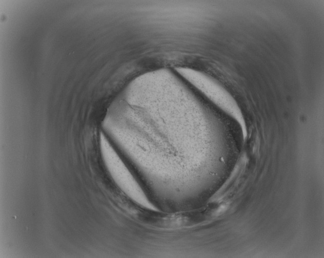 X0000066100225200603312033