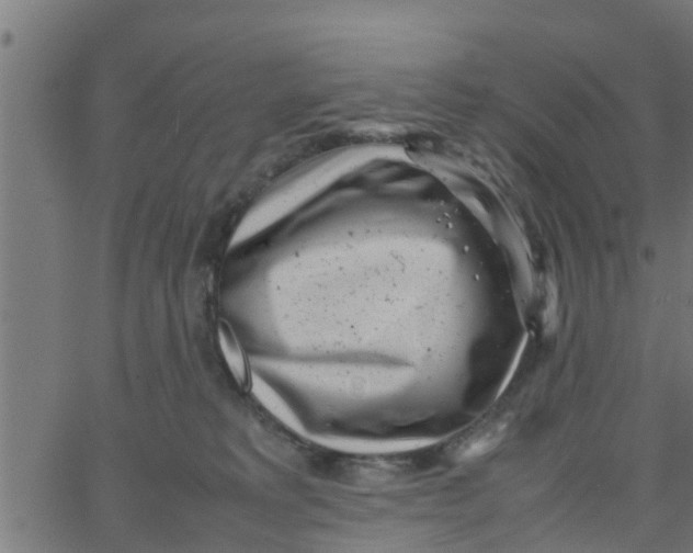 X0000066100229200603312033