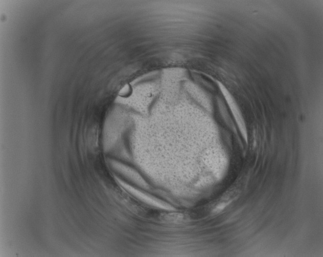 X0000066100230200603312033