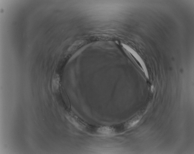 X0000066100231200603312033