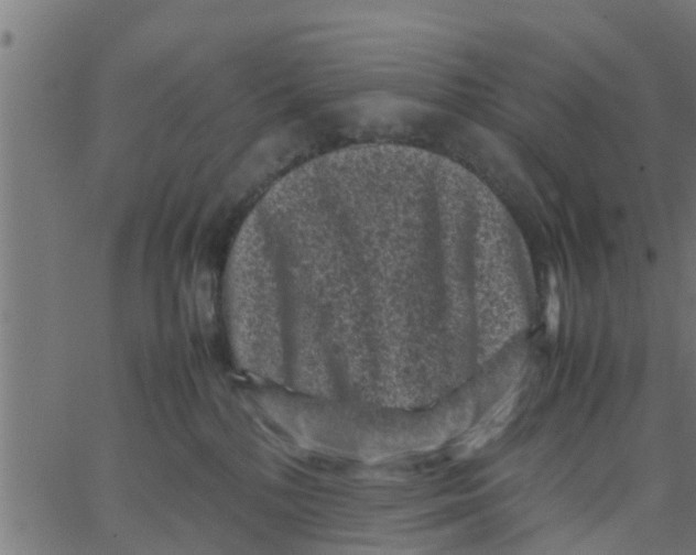 X0000066100232200603312033