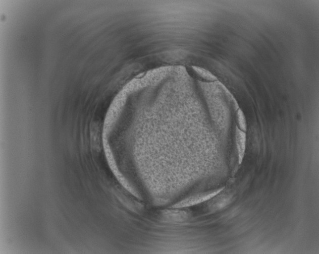 X0000066100234200603312033