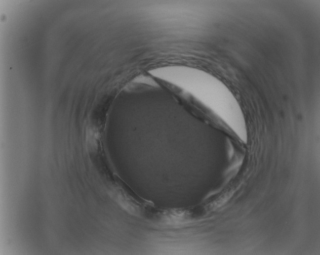 X0000066100235200603312033