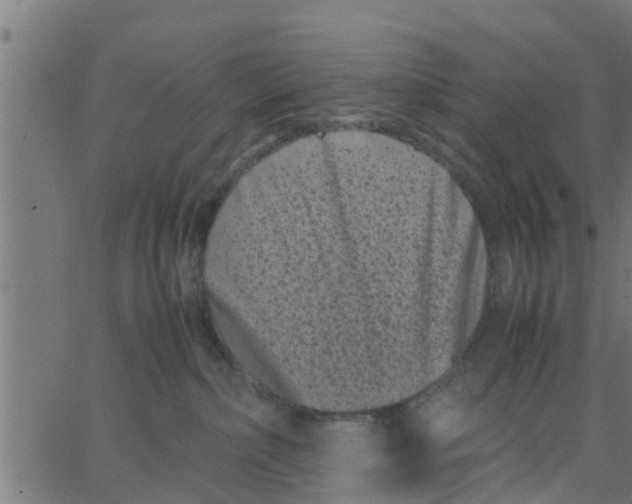 X0000066100236200603312033