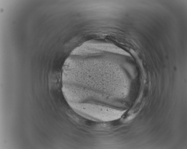 X0000066100237200603312033