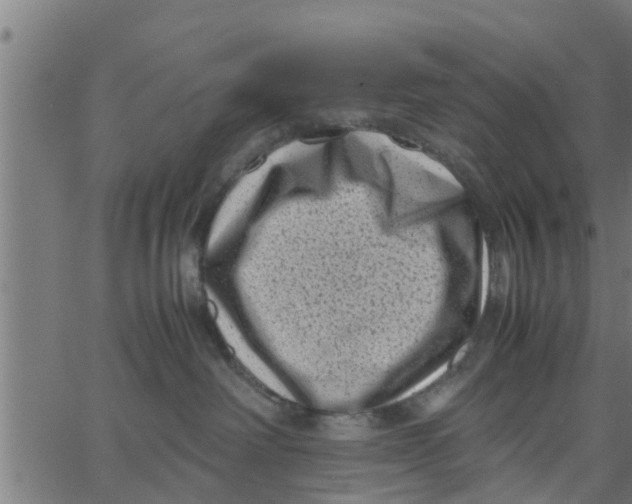 X0000066100238200603312033