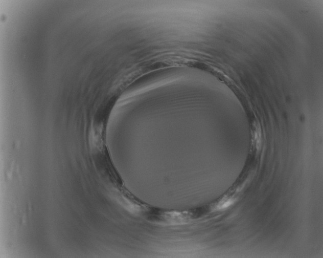 X0000066100239200603312033