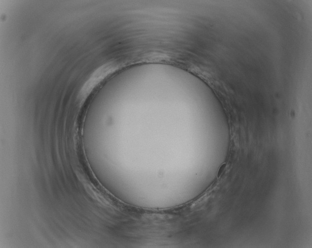 X0000066100242200603312032