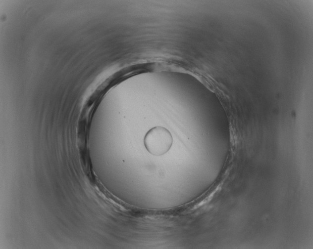 X0000066100244200603312032