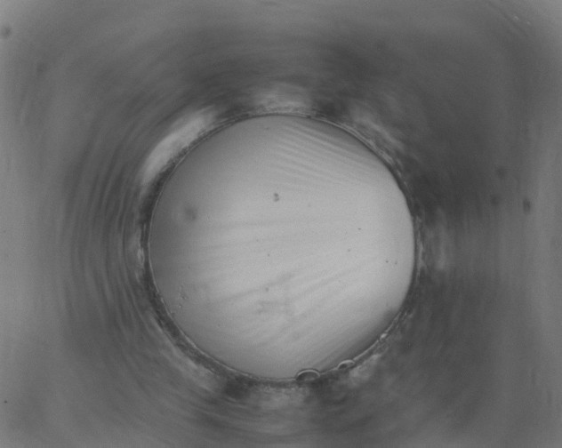 X0000066100245200603312032