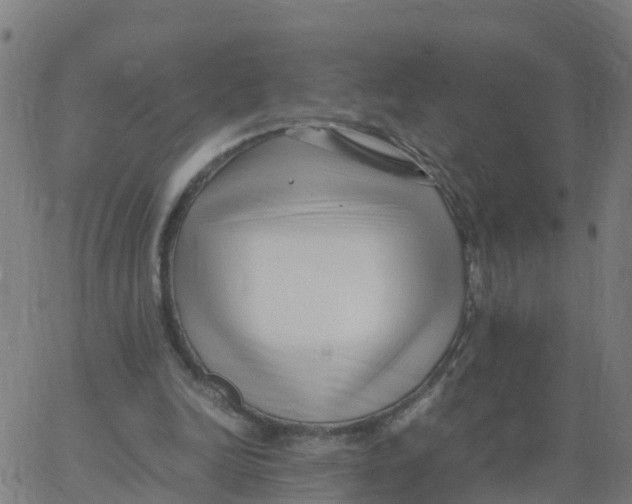 X0000066100246200603312032