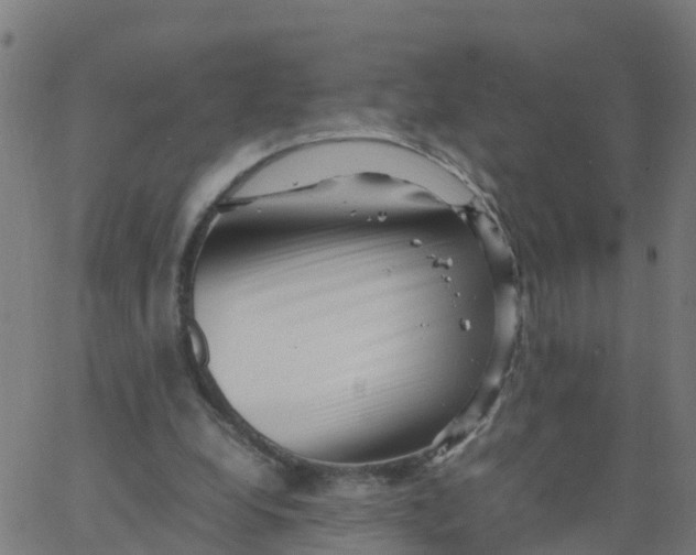 X0000066100248200603312032