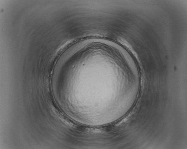 X0000066100249200603312032