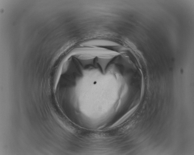 X0000066100250200603312032