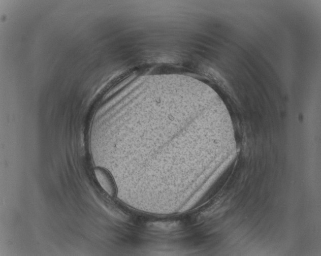 X0000066100251200603312032