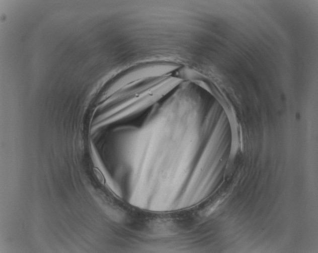 X0000066100252200603312032