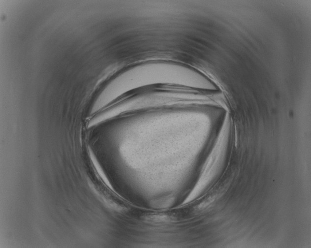 X0000066100253200603312032