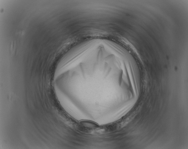 X0000066100257200603312032