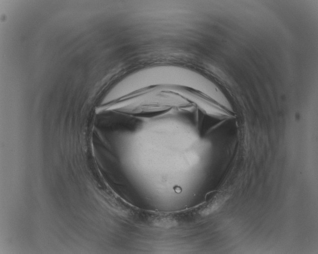 X0000066100258200603312032