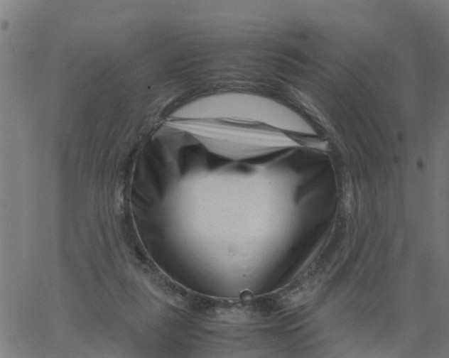 X0000066100259200603312032