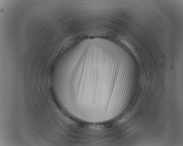 X0000066100261200603312032