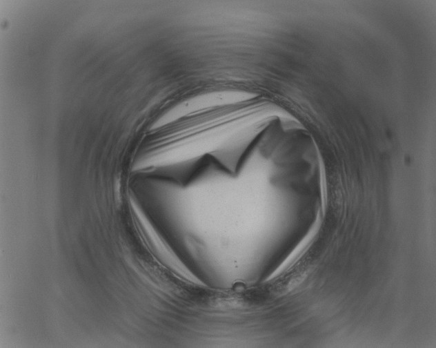 X0000066100262200603312032