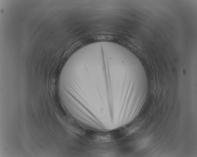 X0000066100263200603312032