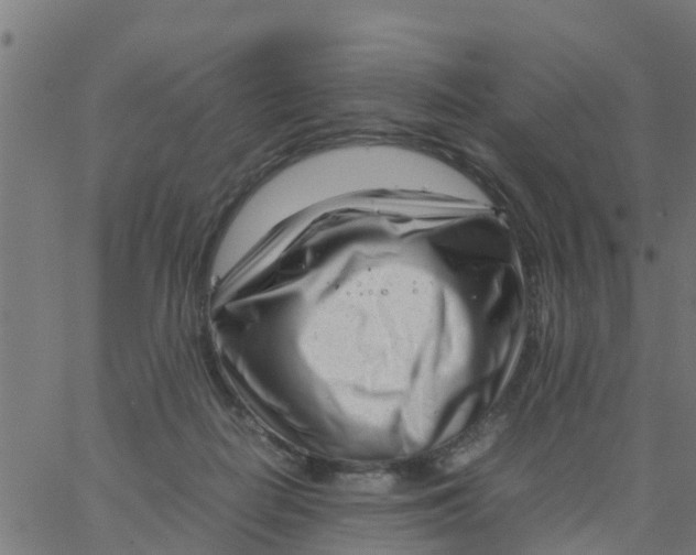 X0000066100266200603312032