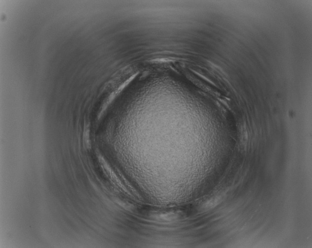 X0000066100267200603312033