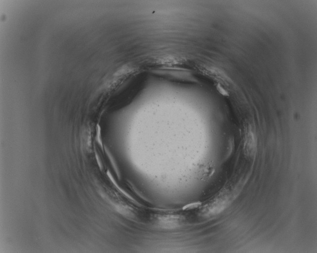 X0000066100268200603312033