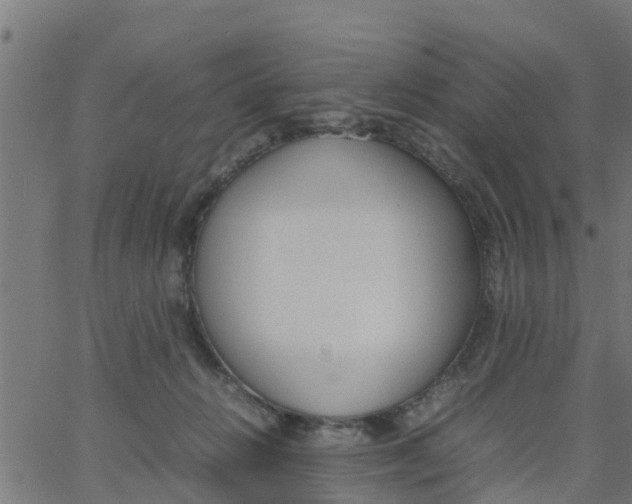 X0000066100270200603312033