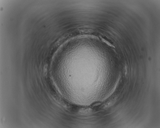 X0000066100271200603312033