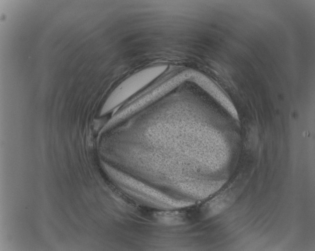 X0000066100273200603312033